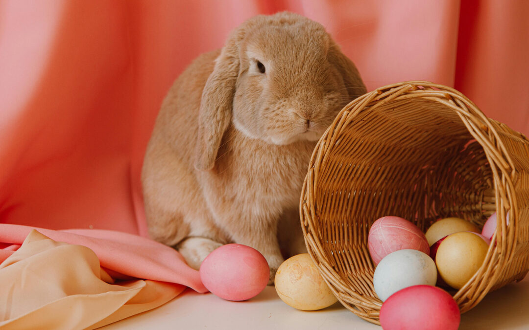 Easter words you must know