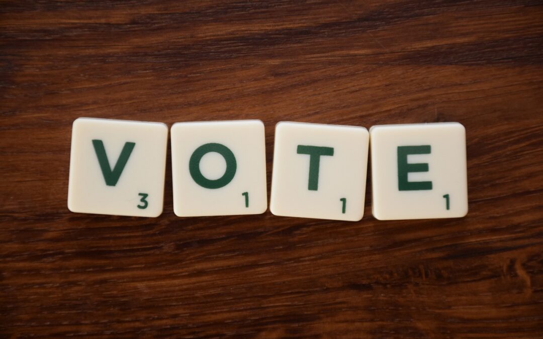 10 key election terms and words you should know