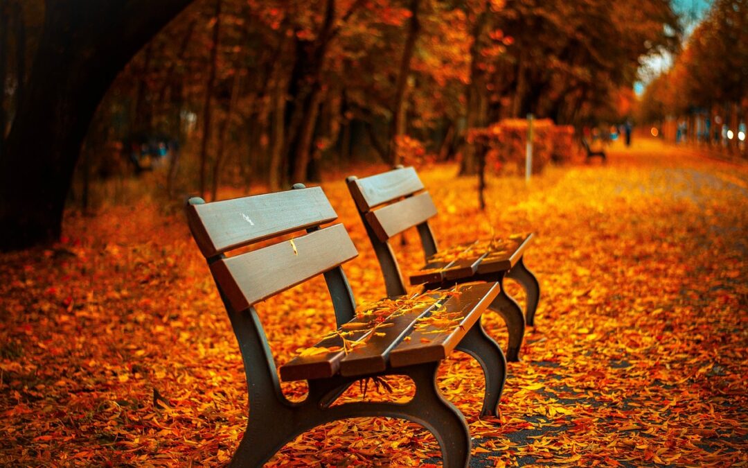 London Activities in Autumn: What to Expect from the Weather